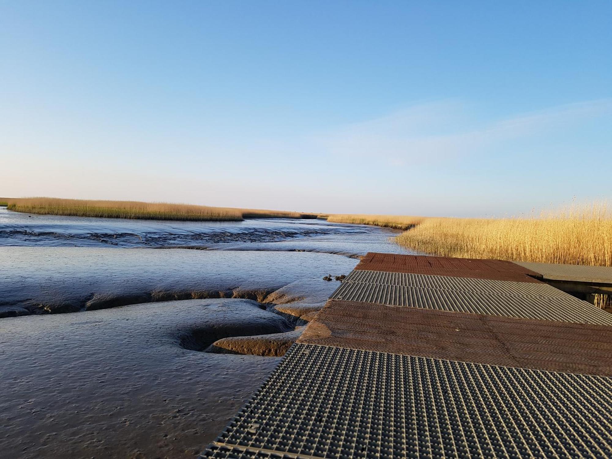 Bed & Breakfast Rheiderland Ditzumerverlaat Экстерьер фото