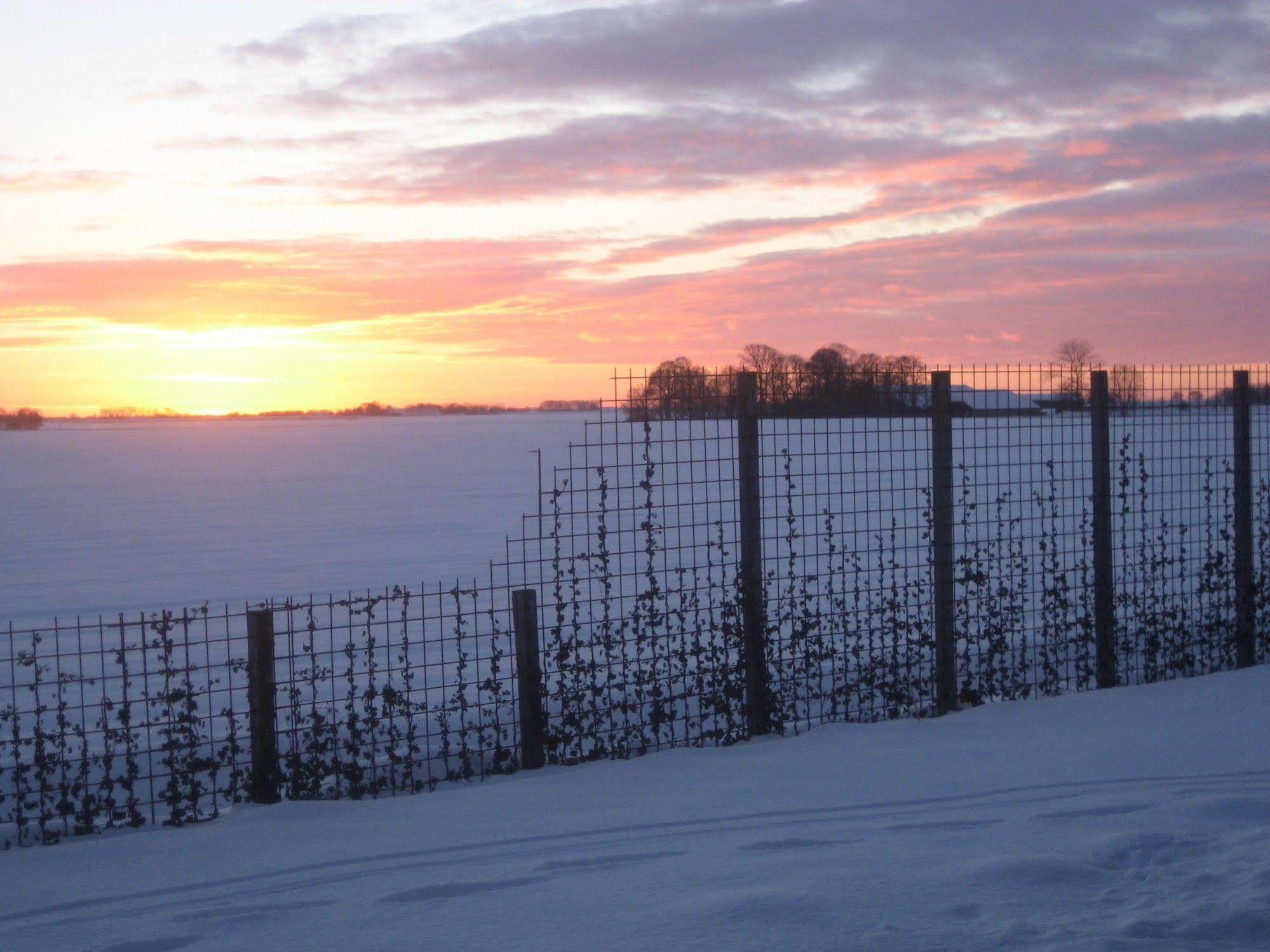 Bed & Breakfast Rheiderland Ditzumerverlaat Экстерьер фото